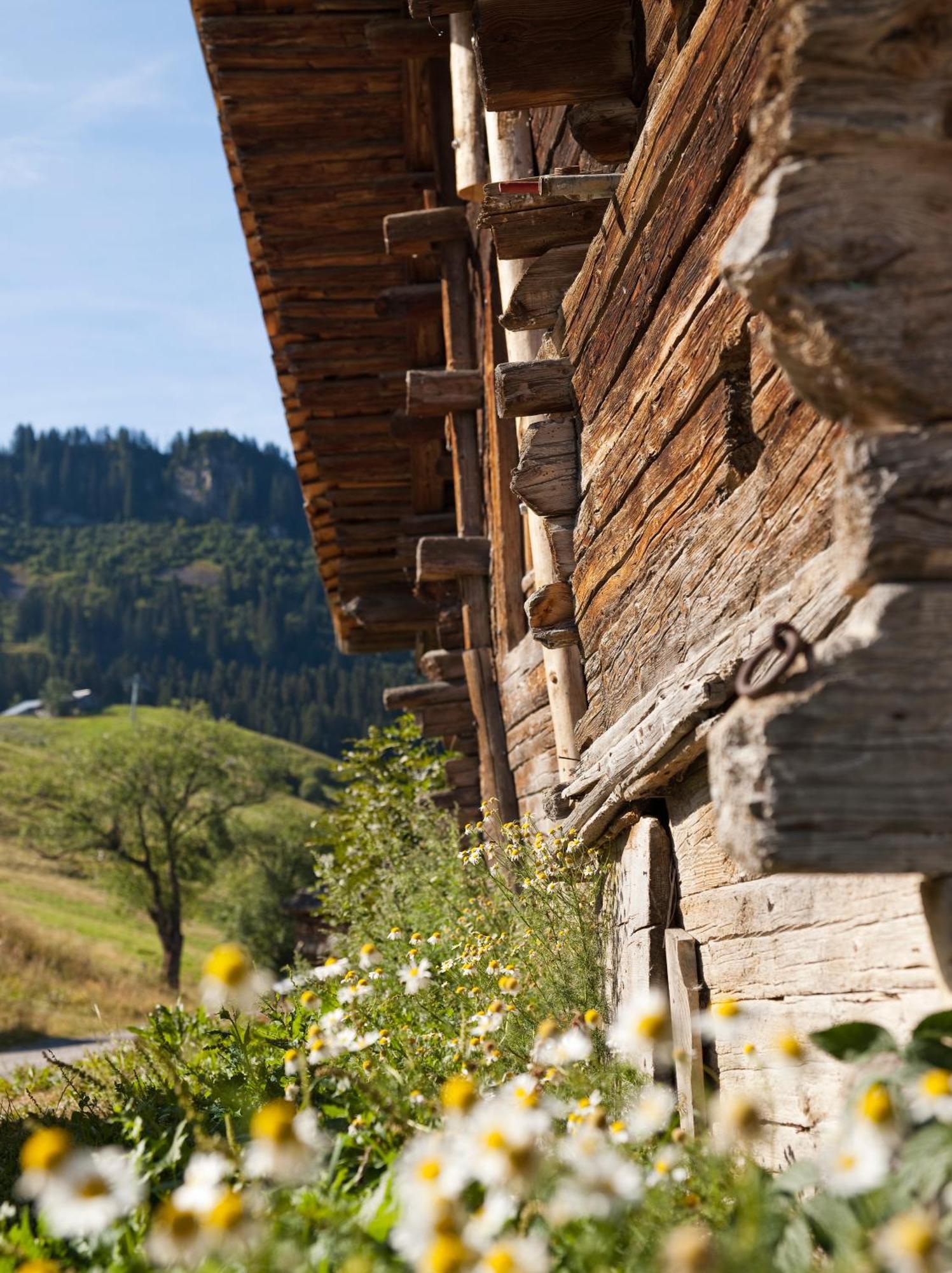Mgm Hotels & Residences - Residence Le Roc Des Tours Le Grand-Bornand Exteriér fotografie